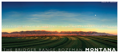 "Third Cutting" - Bozeman - POSTCARD