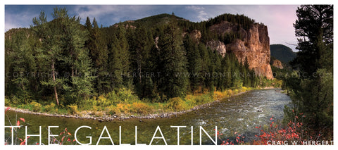 "Clear Bend" - The Gallatin - POSTCARD