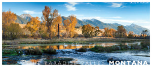 "3 Swans" - Paradise Valley - POSTCARD