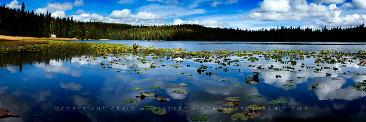 "Late Afternoon Lily Pads" - Wise River - Wisdom, MT