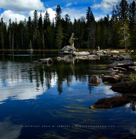 "Collection #6357" - Wise River, MT (OE)
