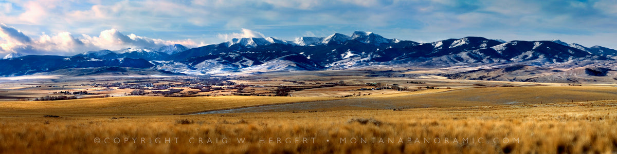 "Harrison" - Tobacco Root Range, MT