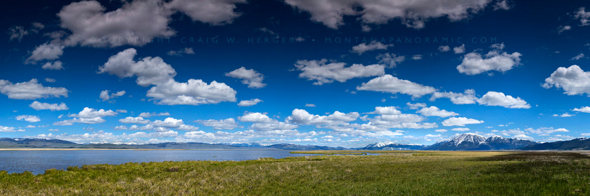 "Red Rock Afternoon" - Montana (OE)