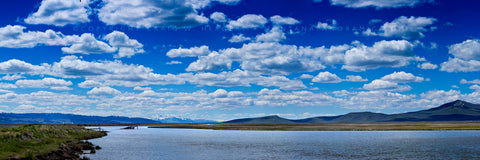 "Collection #07A1289" - Red Rock NWR, Montana (OE)