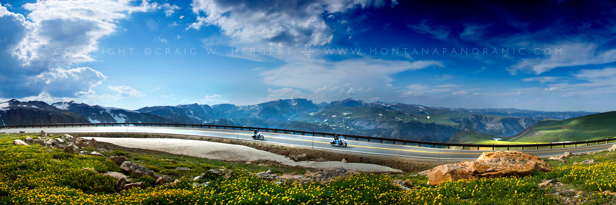 "Collection #7282" -  Beartooth Pass, MT (OE)