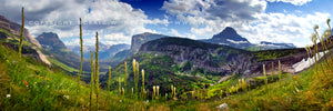 "Reynolds Creek Valley" - Glacier N.P., MT (OE)