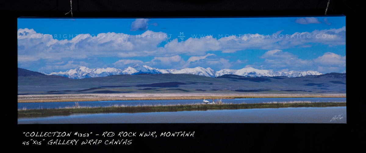 “Migration Mates”  - Red Rock NWR, Montana (OE)