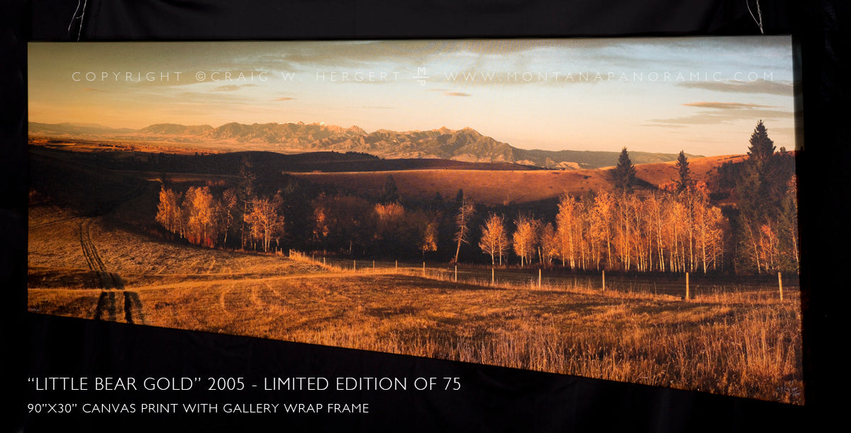 "Little Bear Gold" - 90" x 30" gallery wrap #18 of 75