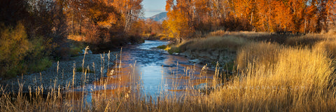 "East Gallatin Fall" Bozeman (OE)