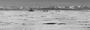 "Collection #8948" -Amsterdam - Churchill, Montana