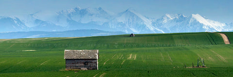 "American Foothills" - Amsterdam - Churchill, MT