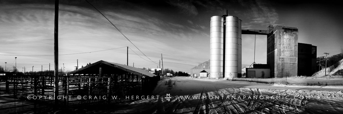 "Collection #P0137 - Bozeman, MT (OE)