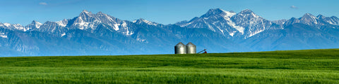 "Two Chiefs" - Polson, MT