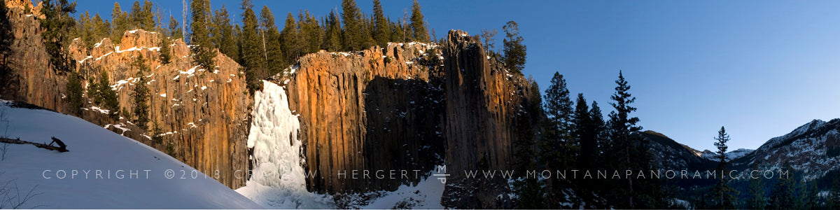 "Palisade" - Gallatin National Forest, MT