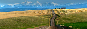 "Collection #7A5534"  - Amsterdam - Churchill, MT