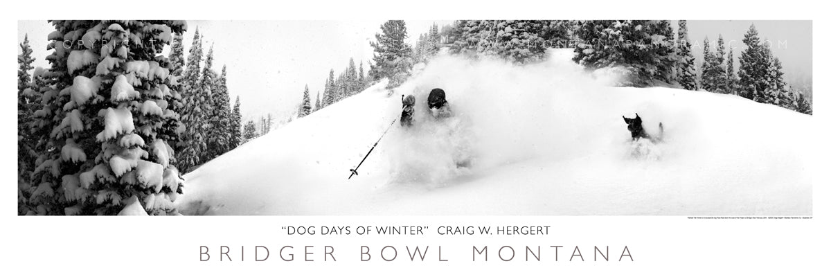 "Dog Days of Winter"  - Bridger Bowl, MT - POSTER