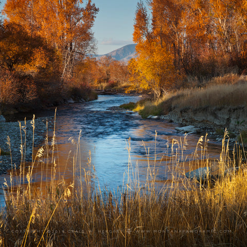 "East Gallatin Fall" Bozeman" - Large Format (OE)