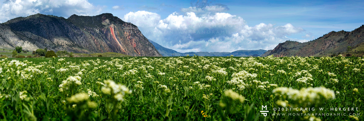 "Devil's Slide" - Gardiner, MT (OE)