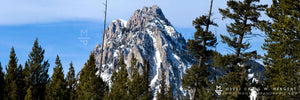 "Ross Peak Summer" - Bozeman, Montana (OE)
