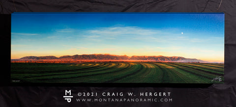 "Third Cutting" - 45" x 15"  gallery wrap framed canvas