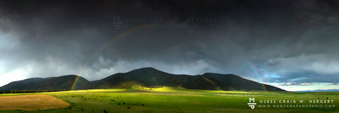 "Black Angus Spring" BOZEMAN, MT (OE)