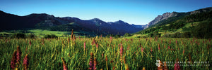 "Grizzly Creek Meadows" Gardiner, MT (OE)