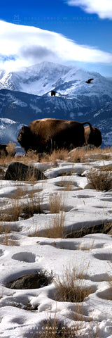 "Messengers" - Gardiner, MT (OE)