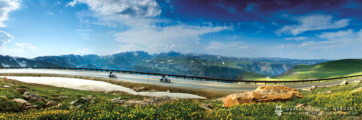 "High Altitude Glide"  Beartooth Pass, MT