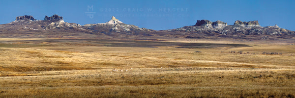 1643341003_badlandprairie6012E