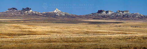 "Badland Prairies" - Ekalaka, MT