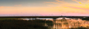 “Northern Swamplands”  Medicine Lake, MT