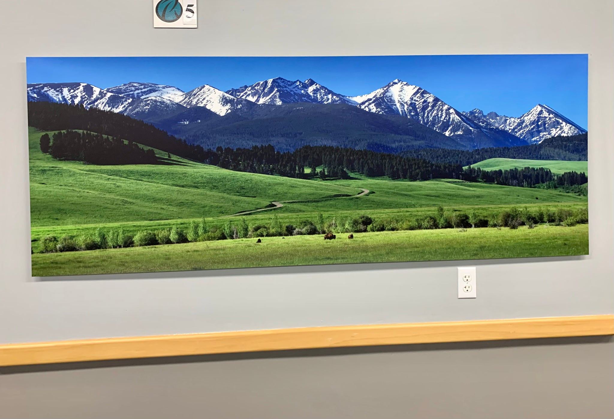 "Spring Grazing" Ready to hang - 80"x30" frameless - changeable print - ready to hang