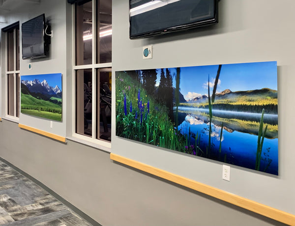 "Spring Grazing" Ready to hang - 80"x30" frameless - changeable print - ready to hang