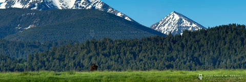 Collection #O7A1069" - Spanish Peaks Montana