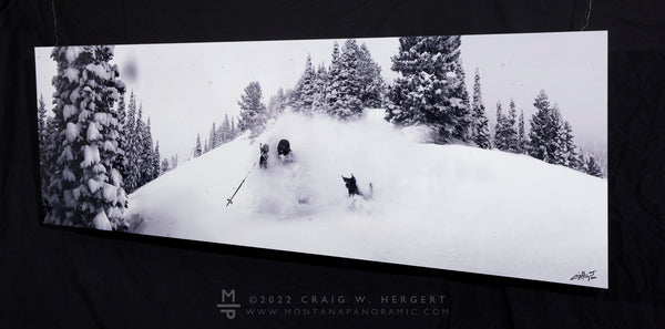 "Dog Days of Winter" 72"x24" open edition metal print