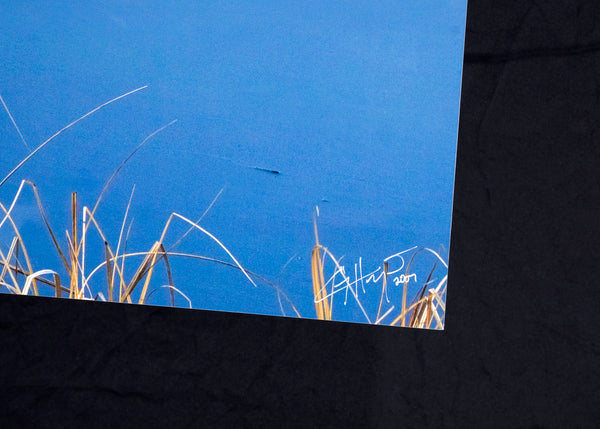 "Lone Glass" 30"x 84" open edition metal print - ready to hang