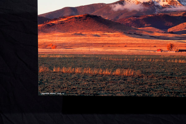 "Pronghorn Pasture" Pony, MT - 60"x 15" open edition metal print - ready to hang
