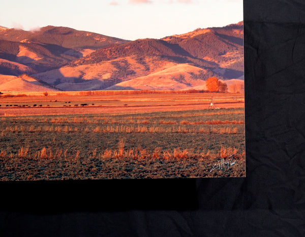 "Pronghorn Pasture" Pony, MT - 60"x 15" open edition metal print - ready to hang