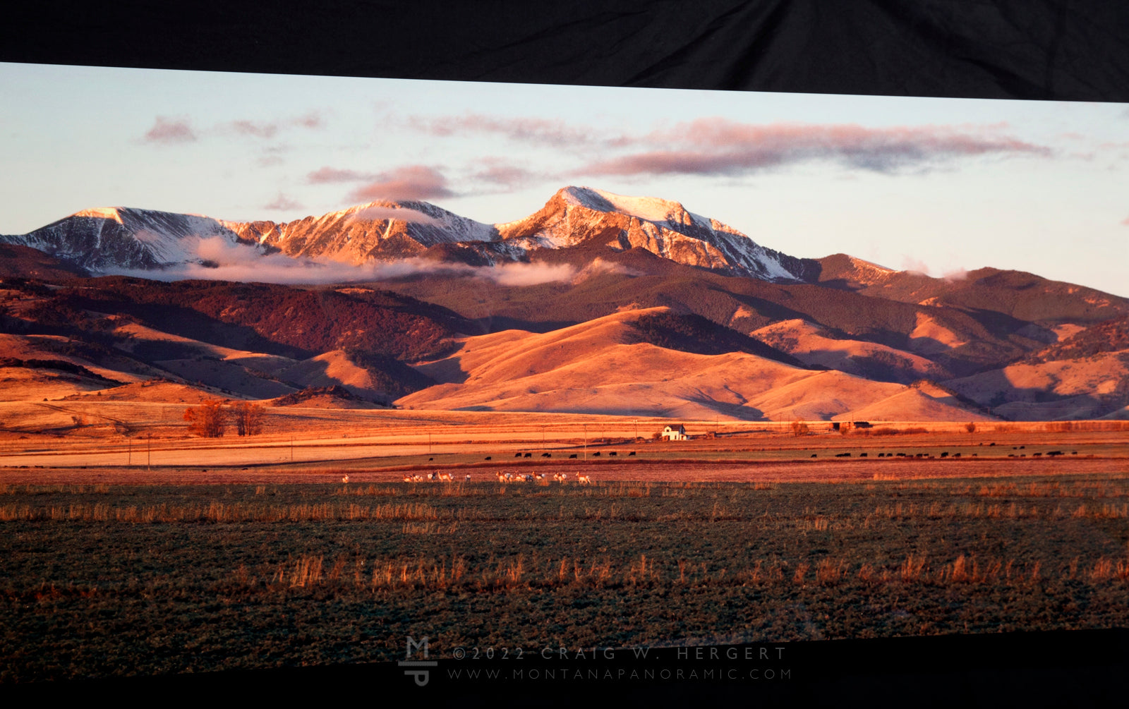 "Pronghorn Pasture" Pony, MT - 60"x 15" open edition metal print - ready to hang