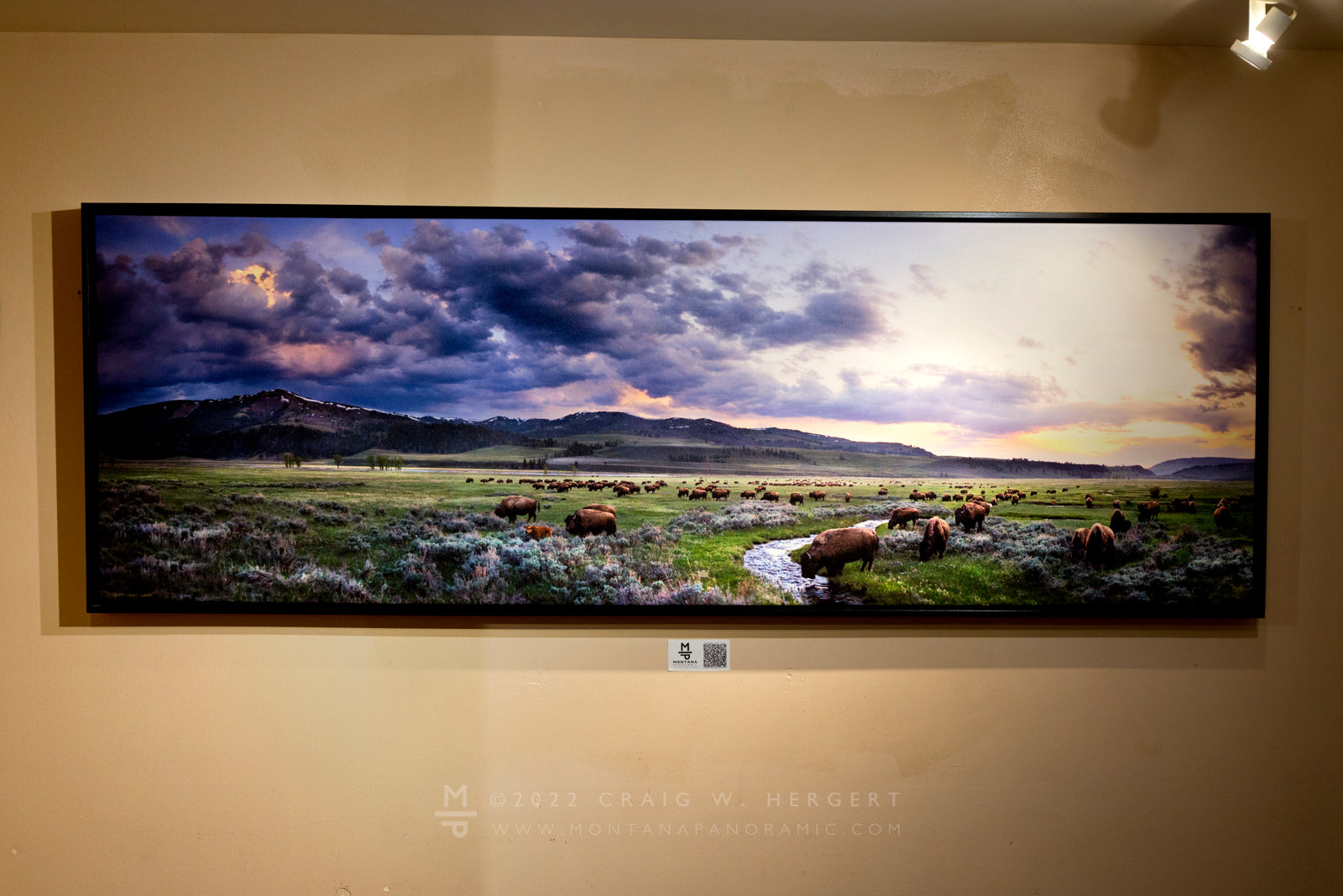 "Calving Season, Lamar" - Yellowstone National Park