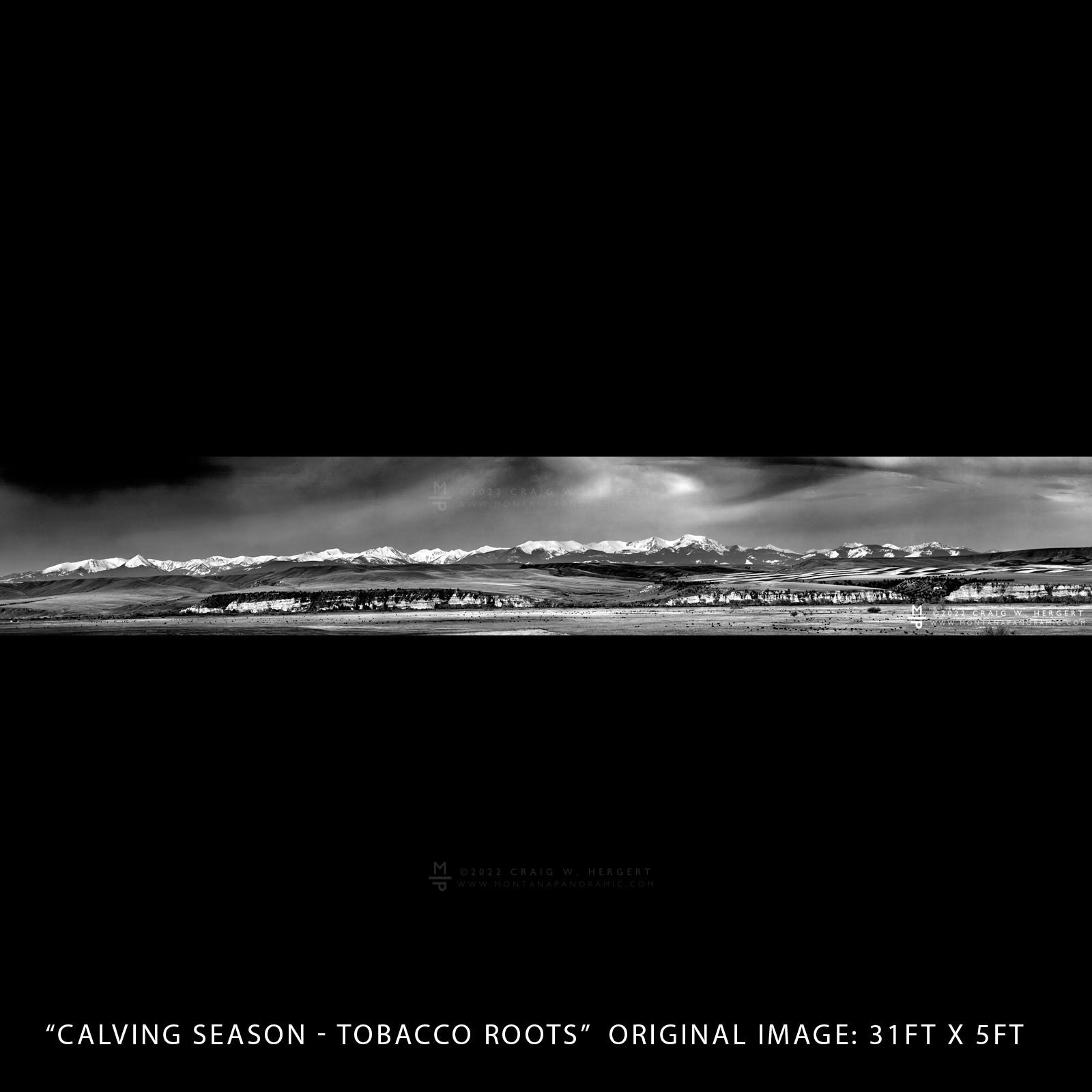 "Calving Season - Tobacco Roots"  - Pony - Three Forks, MT (OE)