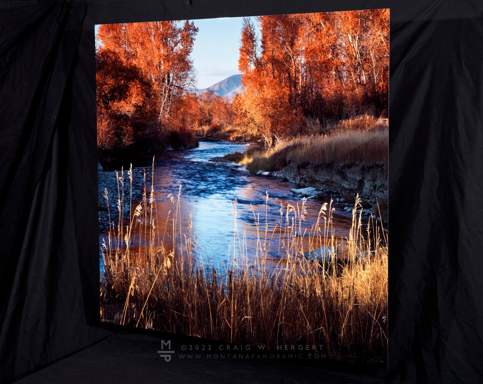 "East Gallatin Fall" 45"x45" open edition metal print, ready to hang
