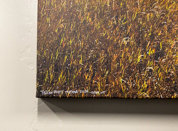 "Pelican Point" - 160" x 40" Framed Limited Edition canvas quadriptych