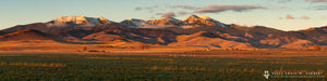 "Pronghorn Pasture" - Pony, MT (OE)